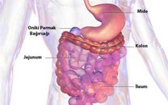 Crohn Hastal