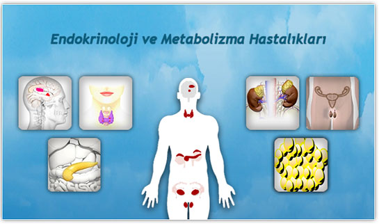 Endokrinoloji ve Metabolizma Hastalklar