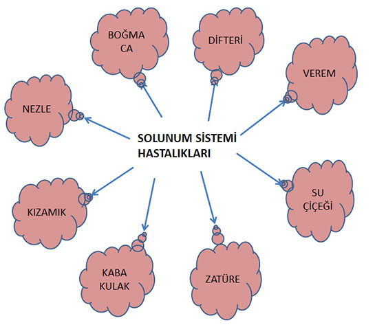 Solunum Sistemi Hastalklar